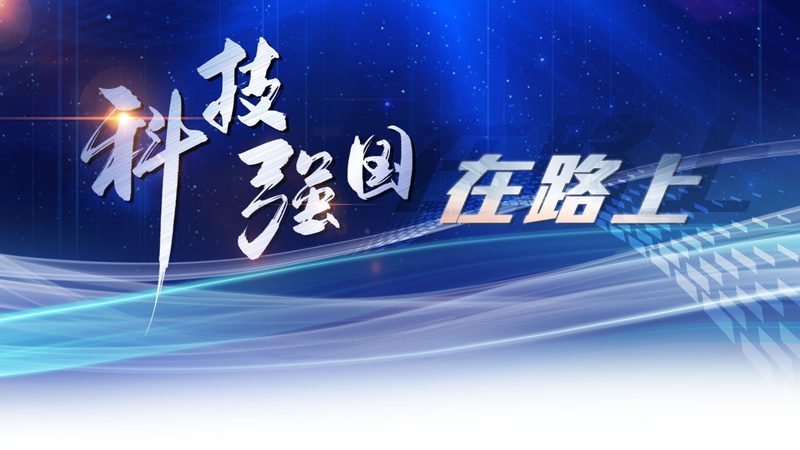 仓储物流信息化建设：如何精准匹配需求与方案**